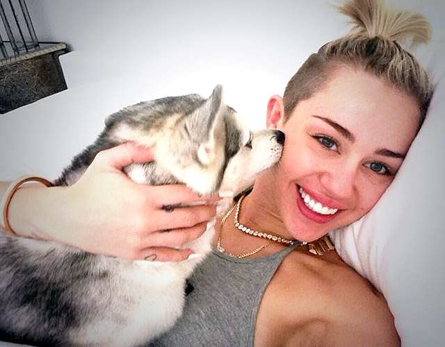 8 Animali delle star - Miley Cyrus