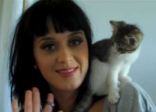 5 Animali delle star - Katy Perry