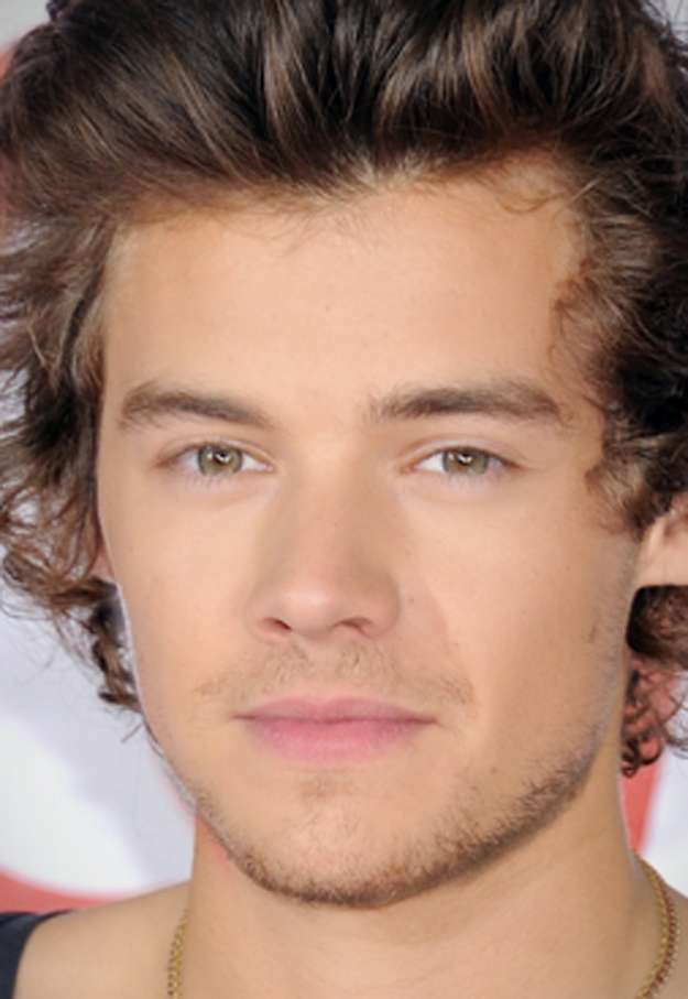 One Direction mashup facce - Harry e Liam