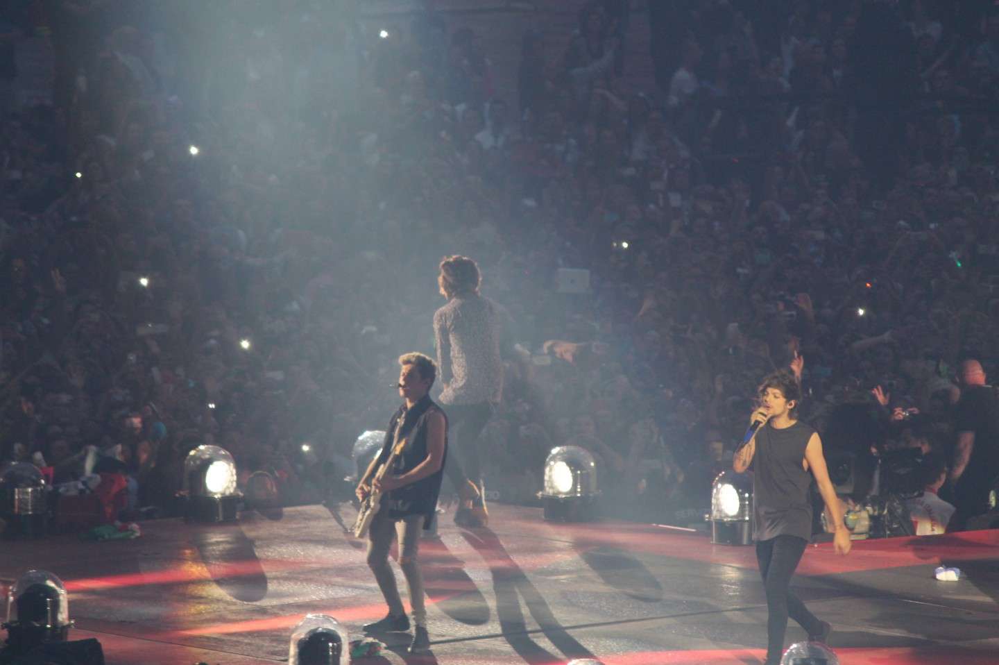 One Direction - Foto dal concerto di Milano San Siro (23)