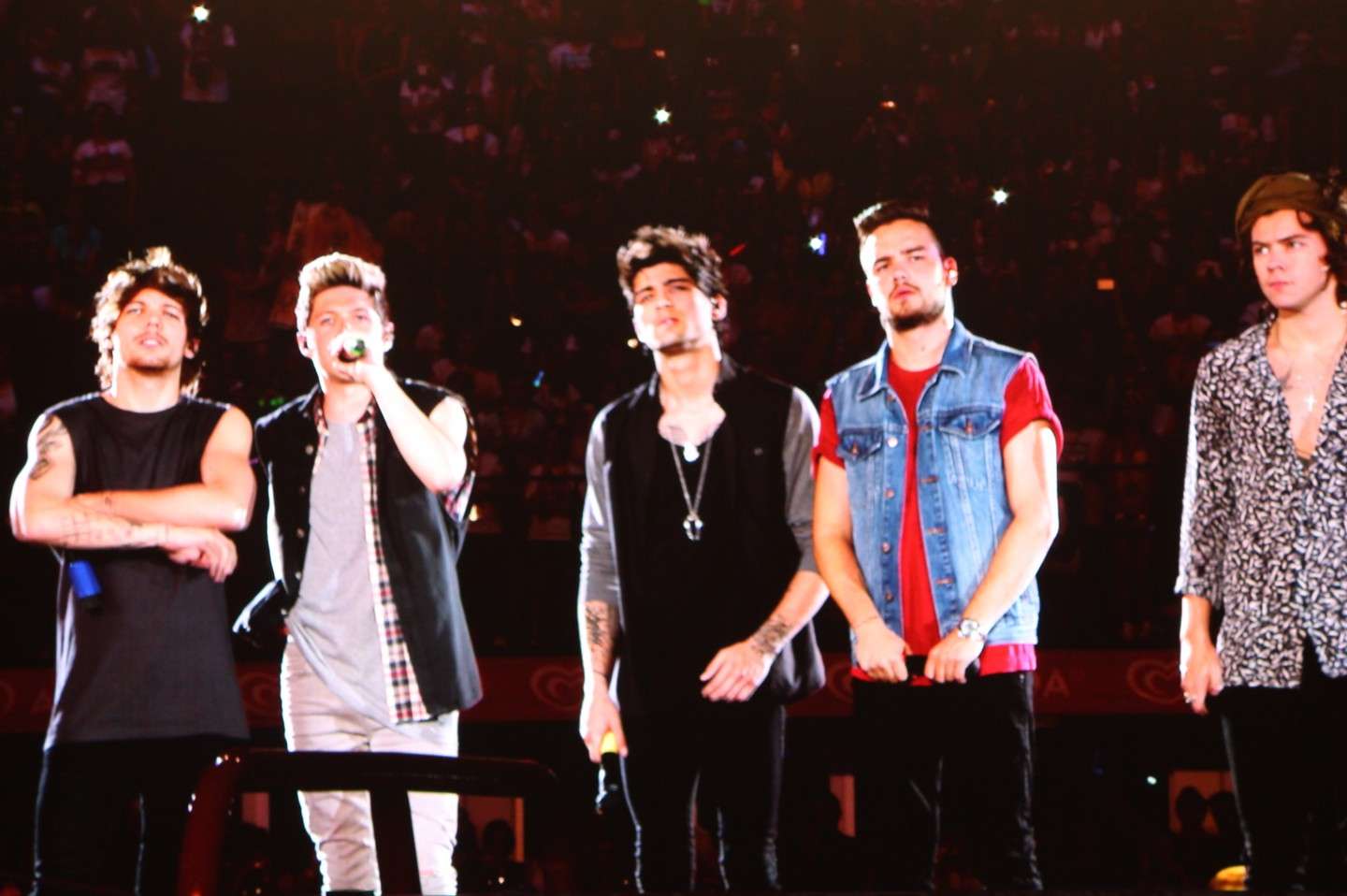 One Direction - Foto dal concerto di Milano San Siro (38)