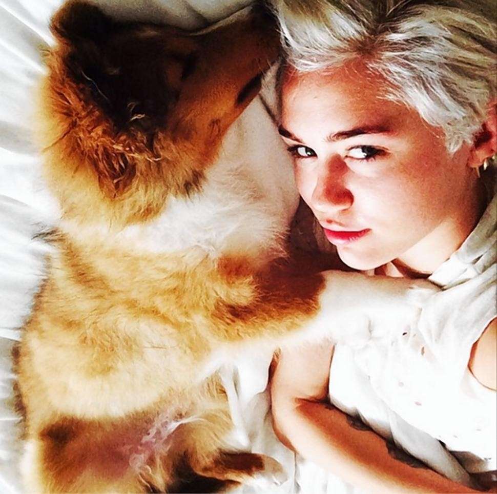 Miley Cyrus con cane