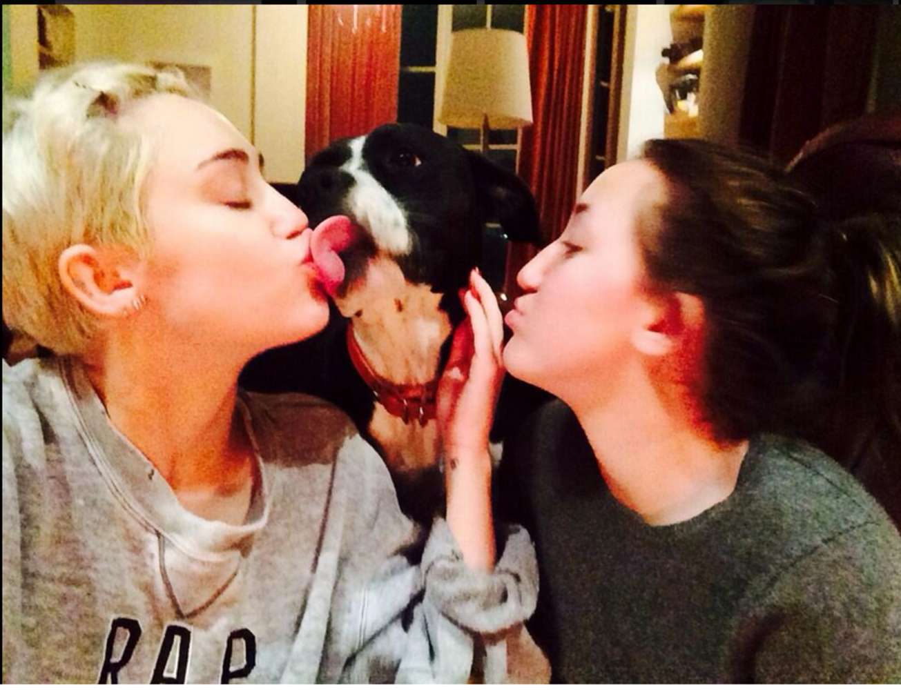 Bacio Miley Cyrus e cane