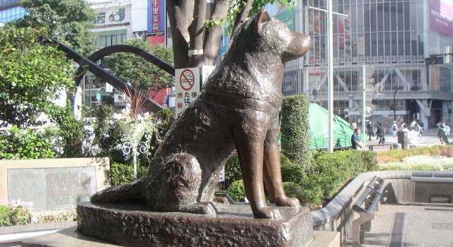 Hachiko, la statua