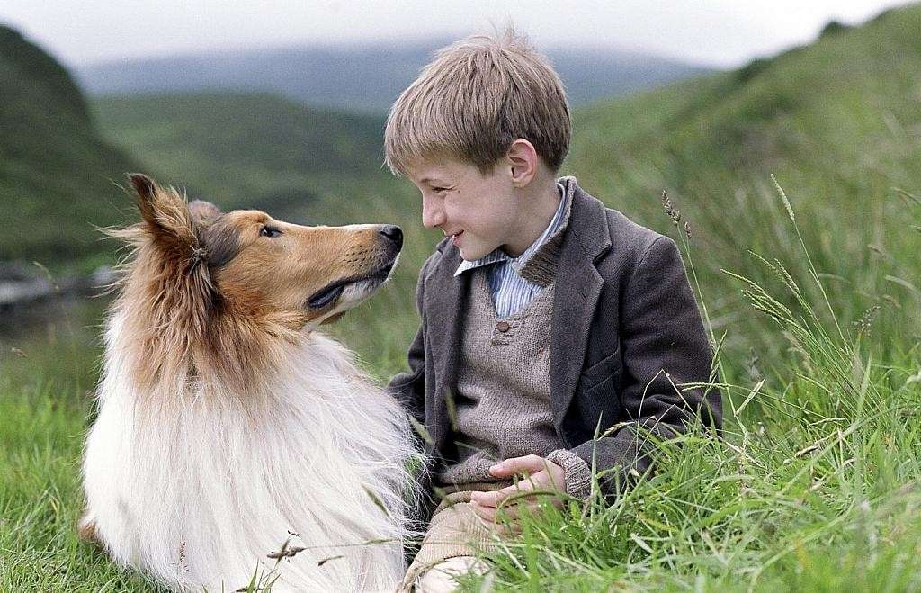 Lassie, il film