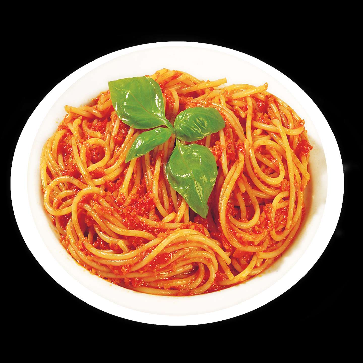 Un gustoso piatto di spaghetti al sugo