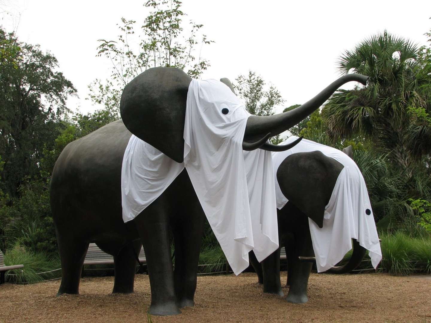 Elefanti vestiti da fantasmi