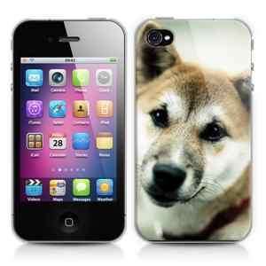 Un bellissimo cane sul tuo iphone