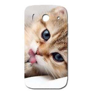 Un dolcissimo gattino sul tuo smartphone