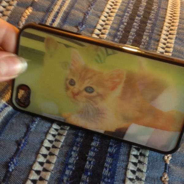 Un cucciolo di gatto sul vostro smartphone