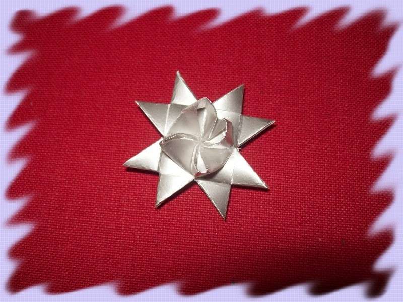Stellina origami per decorare i pacchi
