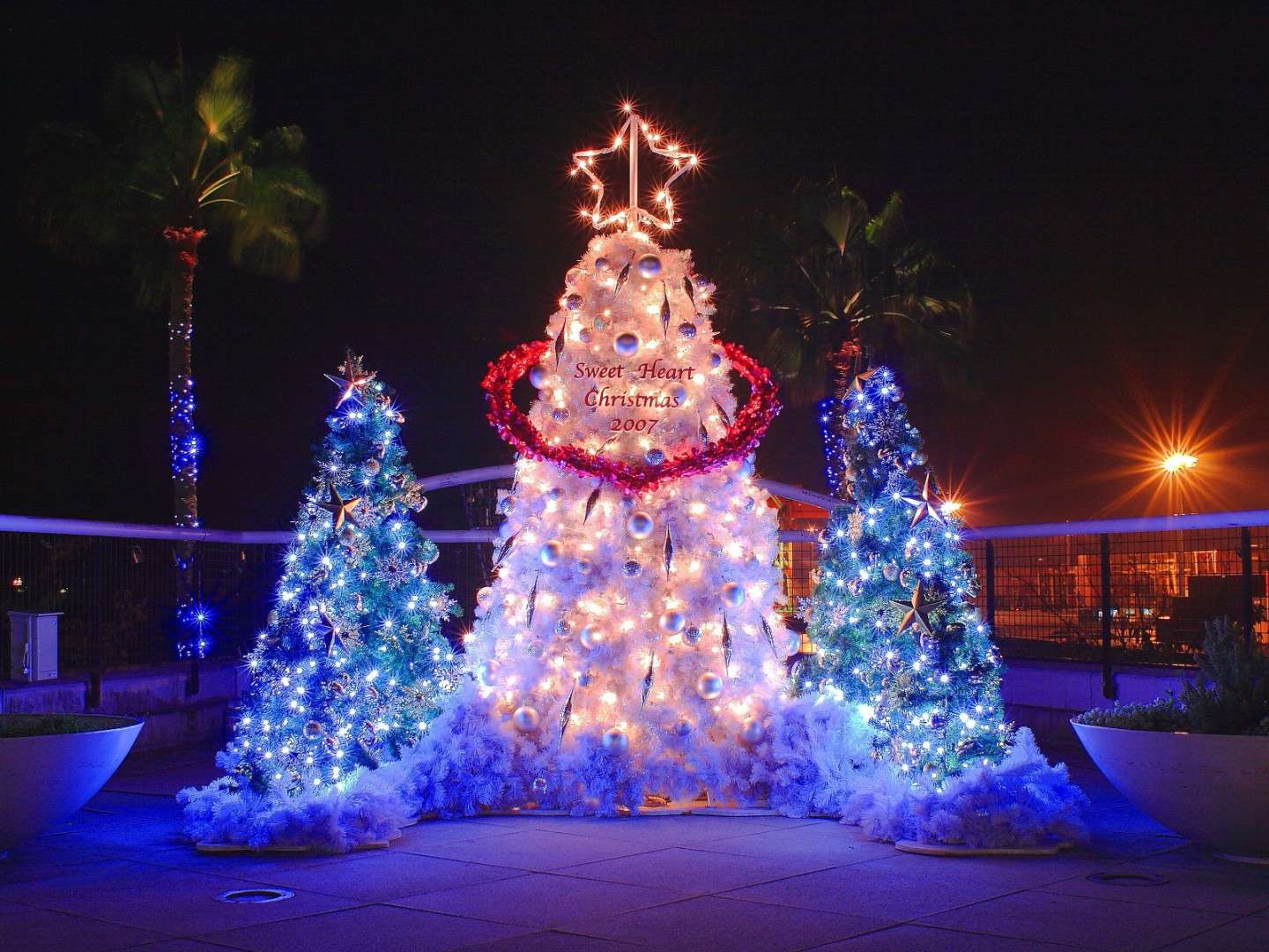 Tre alberi di Natale tra i più belli del mondo