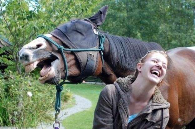 Il cavallo che ride