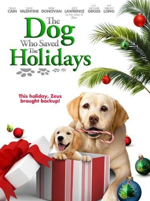 Film di Natale: The dog who saved Holidays