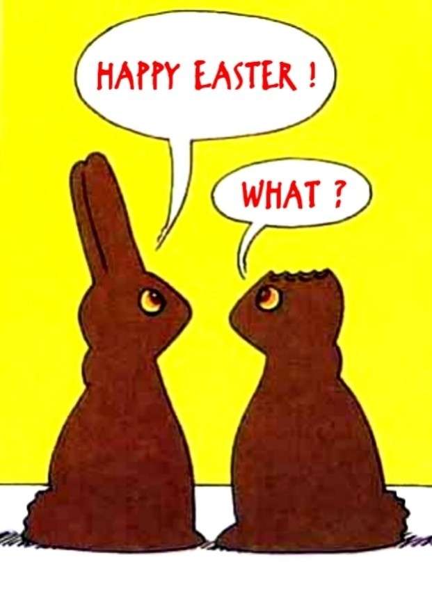 Biglietto divertente di auguri tra conigli di cioccolato