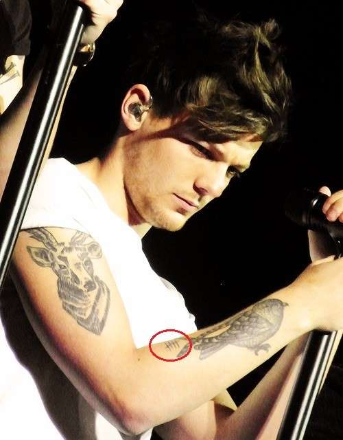 Il braccio tatuato di Louis Tomlinson