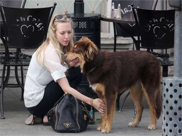 Amanda Seyfried con il cane