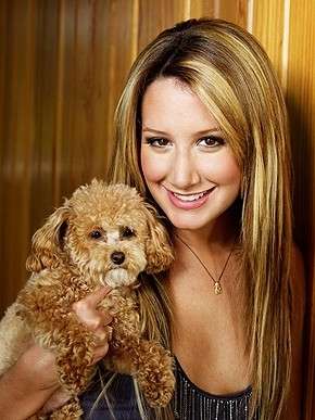 Ashley Tisdale con il suo cucciolo