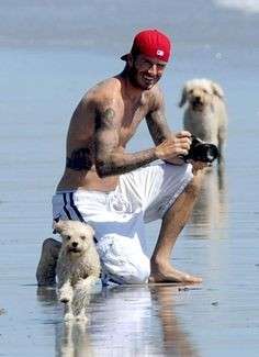 David Beckham con i suoi cani