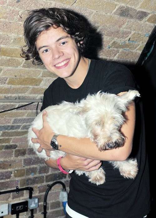 Harry Styles con il suo cane