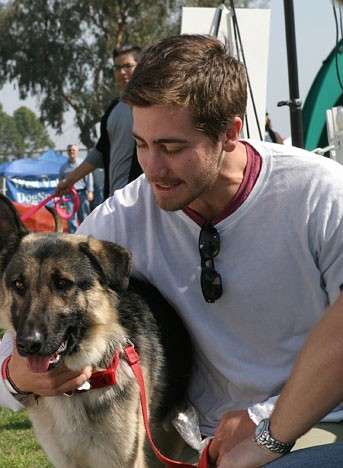 Jake Gyllenhaal con il suo cane