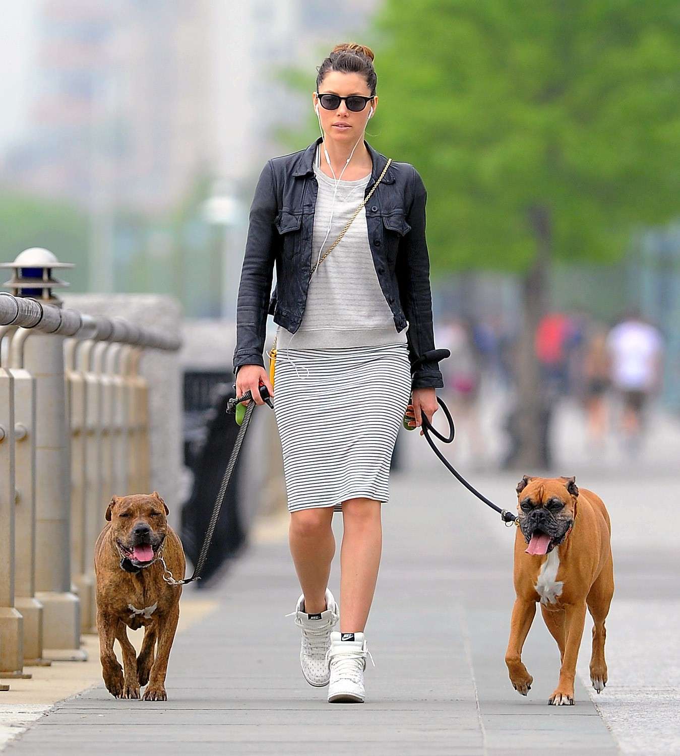 Jessica Biel con i suoi due cani