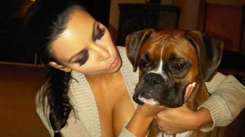 Kim Kardashian con il suo cane