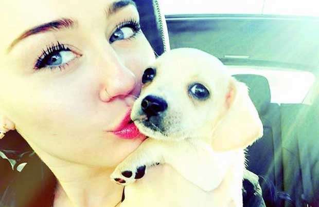 Miley Cyrus con il cucciolo Bean