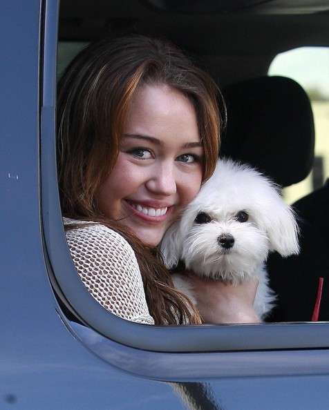 Miley Cyrus con il suo cucciolo