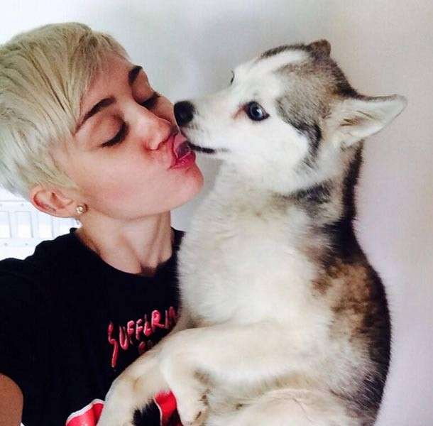 Miley Cyrus con la cucciola Lila