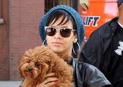 Rihanna con il suo cane