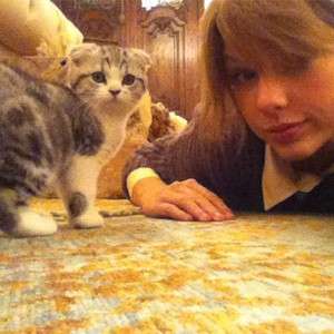 Taylor Swift con la sua gattina
