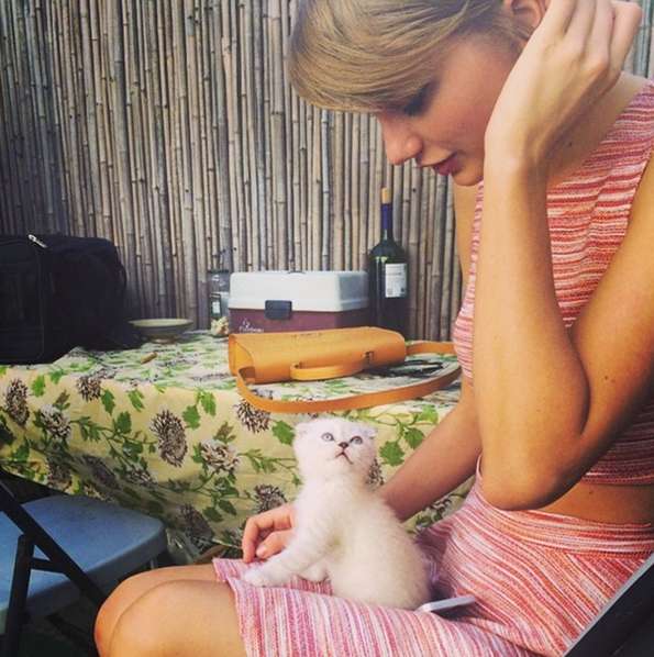 Taylor Swift e la sua micetta