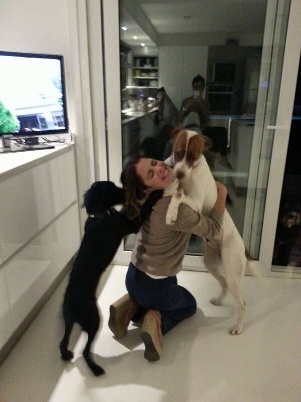 Martina Stoessel e i suoi cani