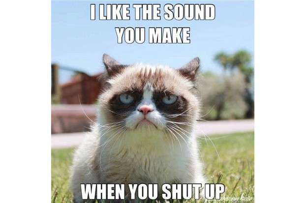 Grumpy Cat e i meme virali