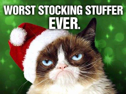 Grumpy Cat in versione natalizia