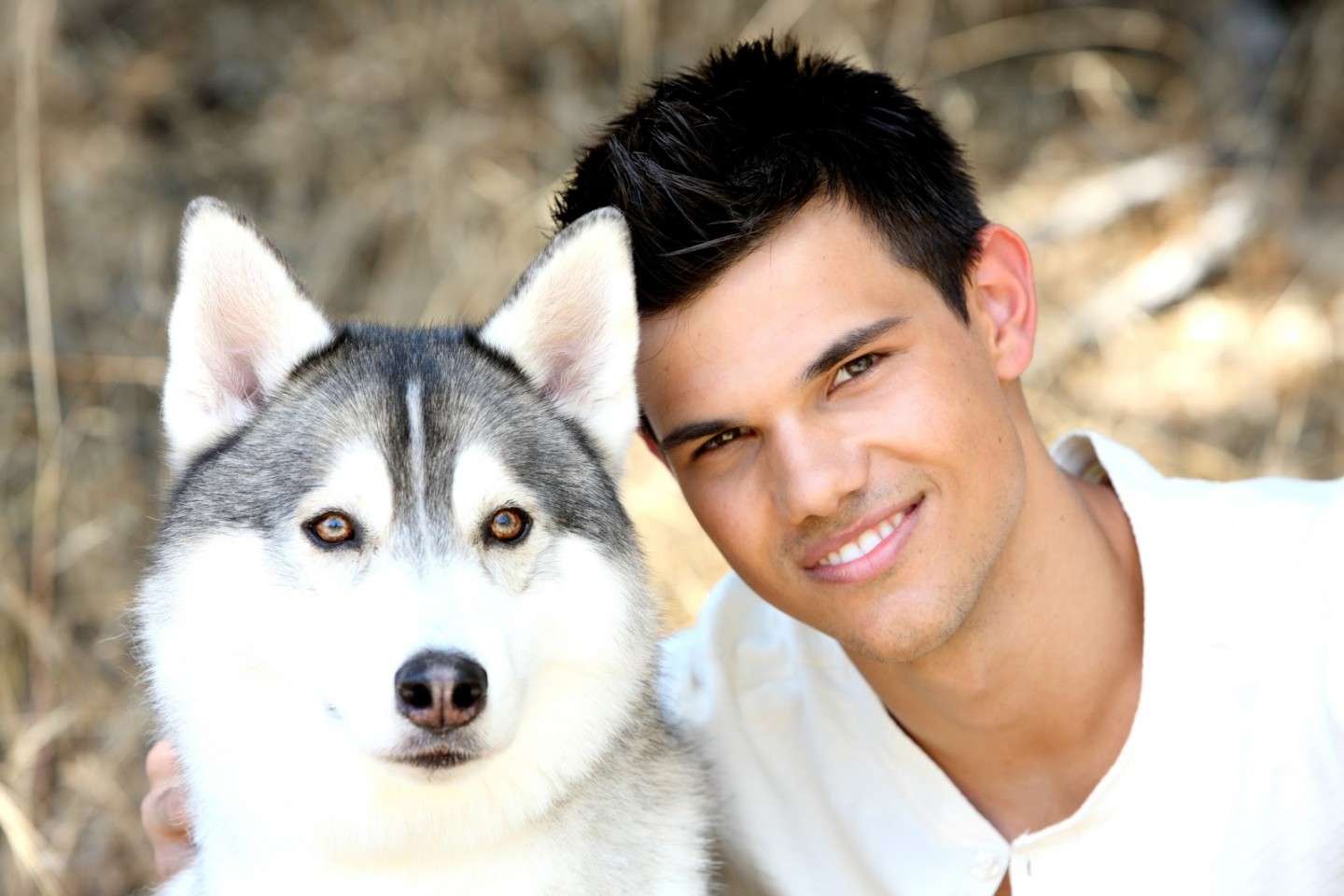 Taylor Lautner con un husky
