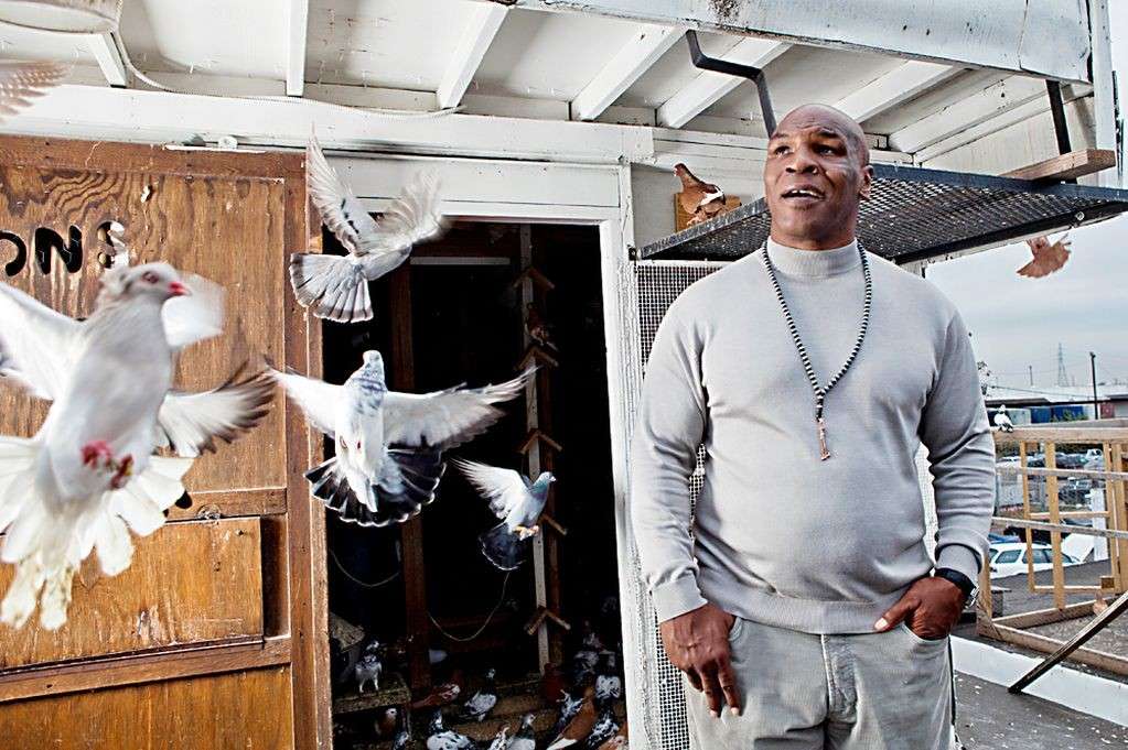 La passione per i piccioni di Mike Tyson
