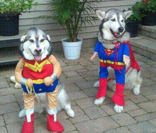 Superman e Capitan America