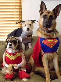 Tre cani supereroi
