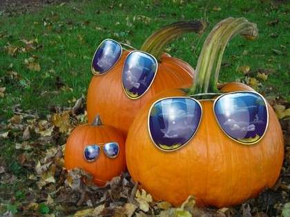 Zucche di Halloween con occhiali da sole
