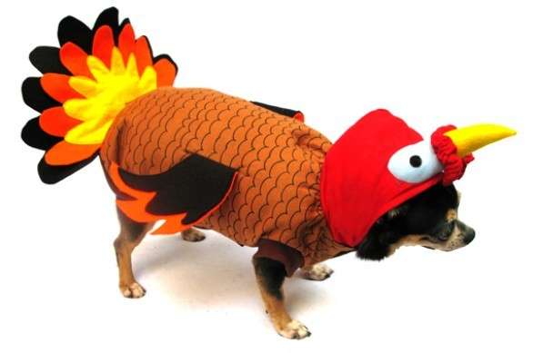 Costume da Halloween cane tacchino
