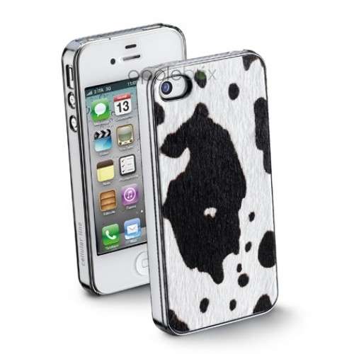 Cover animalier mucca