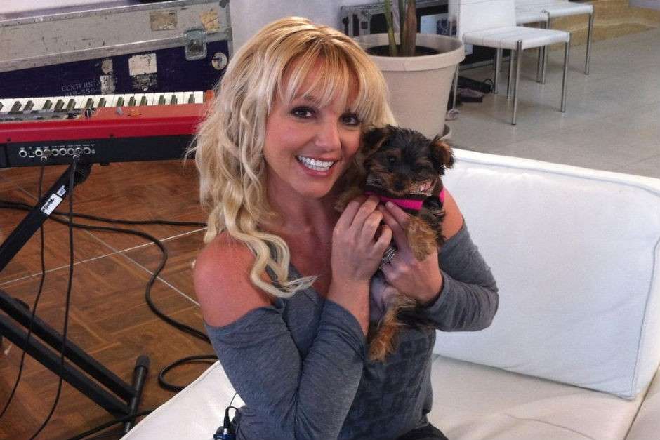 Britney Spears e Hannah