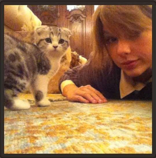 Taylor Swift con il suo gattino