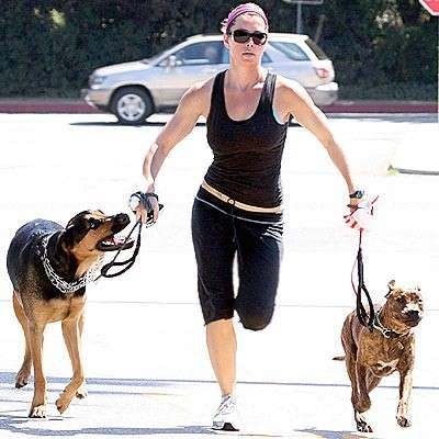Jessica Biel con i suoi cani