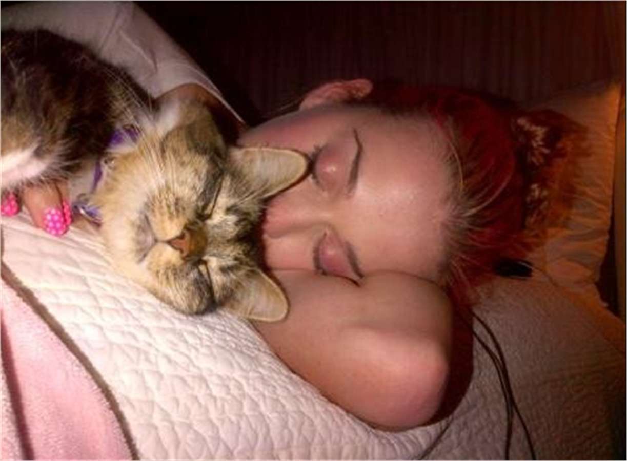 Katy Perry e il suo gattino
