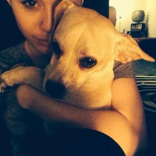 Miley Cyrus abbraccia il suo cane