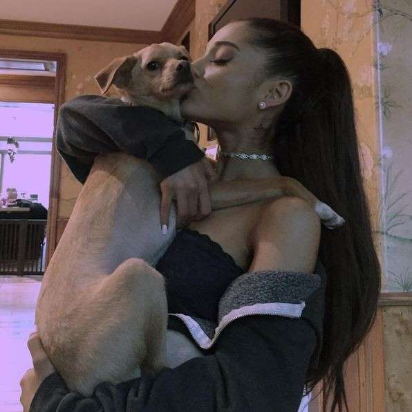Ariana Grande e il suo cane