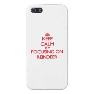 Keep calm e focalizzati sulla renna